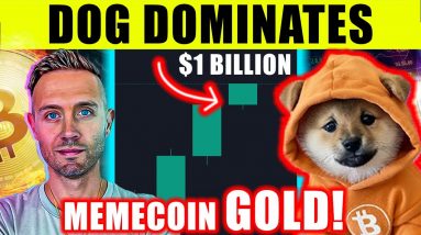 DOG Enters TOP 100 Crypto! (This MEMECOIN Will Be MASSIVE)