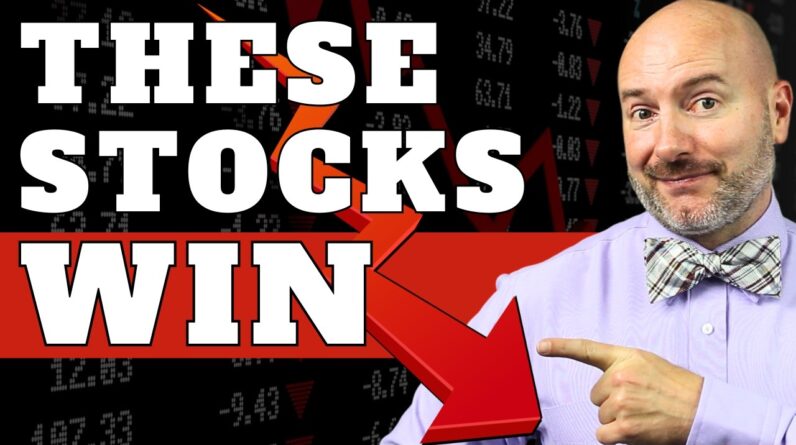 THESE 7 Stocks Win on Market Chaos