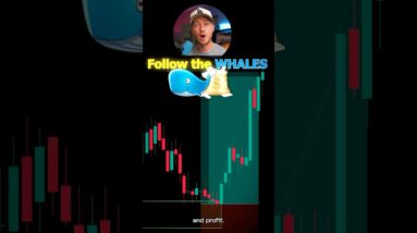 Whale Supply and Demand Trading Strategy! 🐳