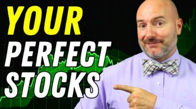 Finding the Perfect Stocks for YOU [Investing for Beginners]