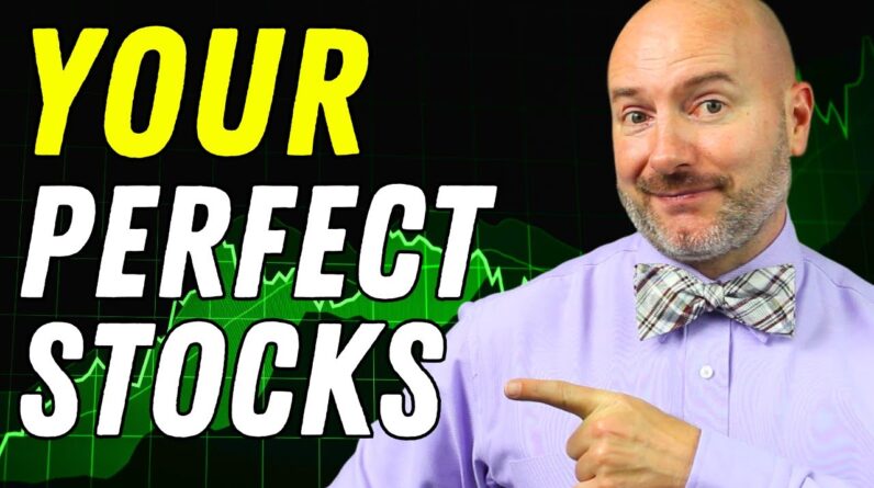 Finding the Perfect Stocks for YOU [Investing for Beginners]